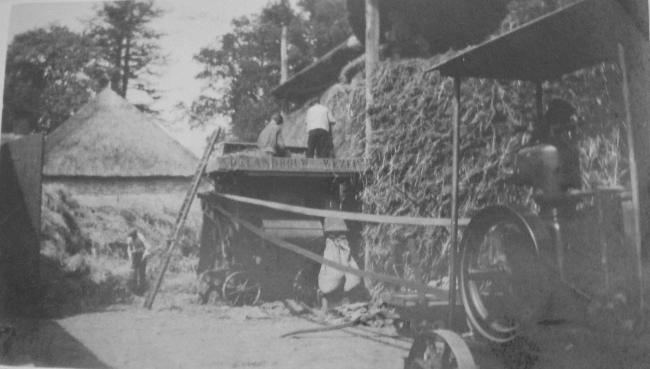 Dorschen op de boerderij